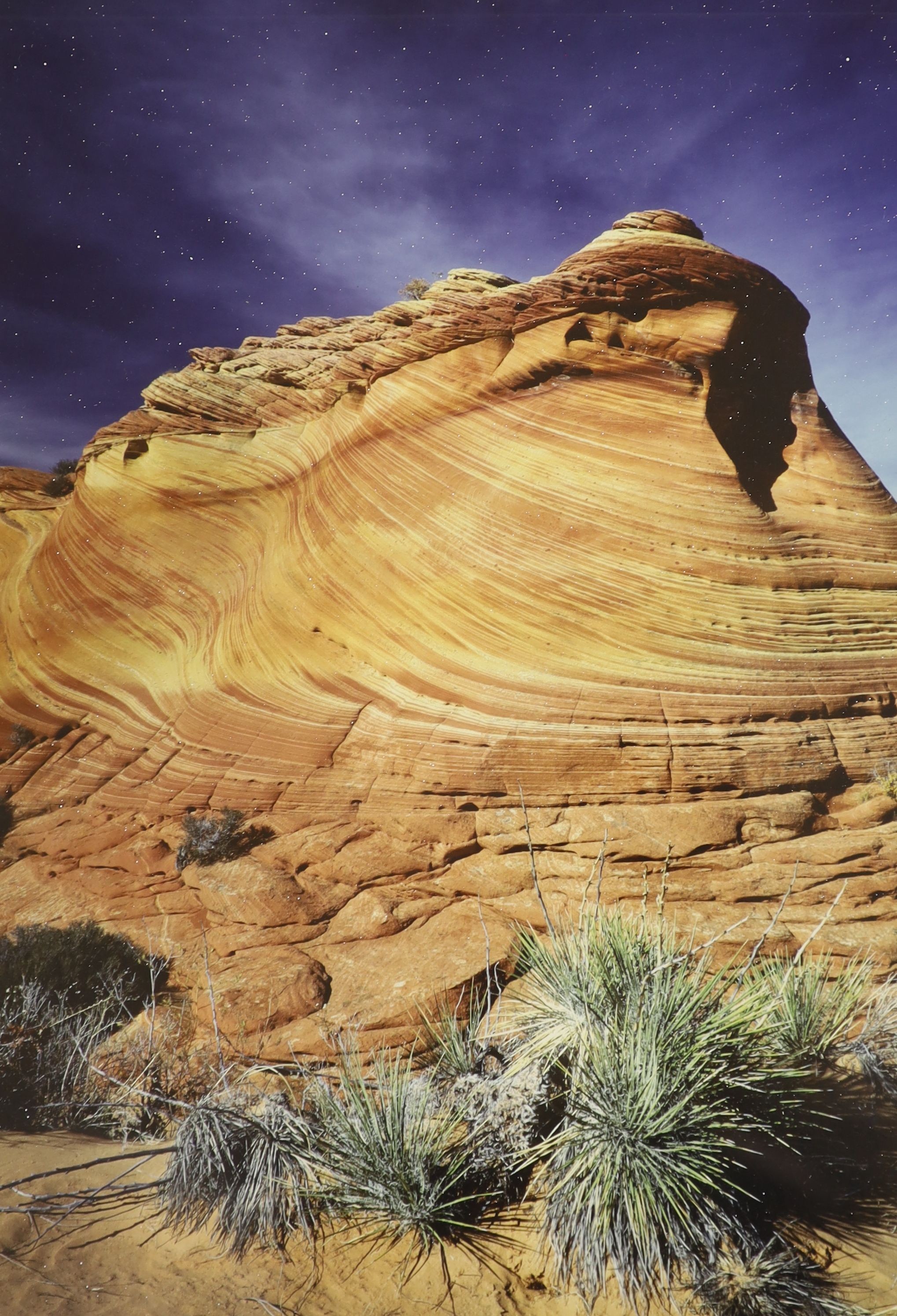 Seven assorted near contemporary colour photographs, largest 48 x 74cm